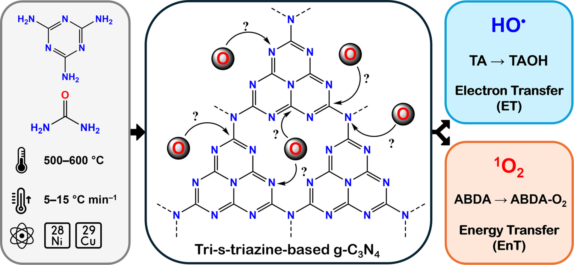 How melamine thermolysis conditions influence energy vs electron transfer in g-C3N4 photocatalysis
